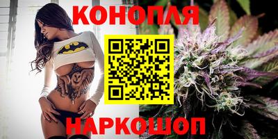 амф Анапа