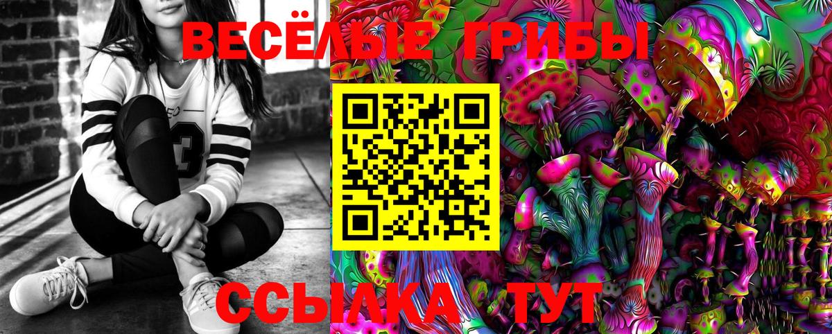 Псилоцибиновые грибы MAGIC MUSHROOMS Асино